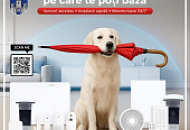 ALLAS - protecția pe care te poți baza ALLAS - protecția pe care te poți baza