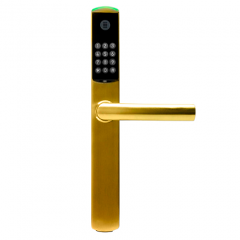 SLIM GOLD + MORTISE* + CODE OPENNING